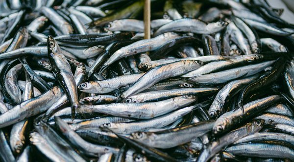 Quali sono i migliori esercizi per migliorare la postura durante il lavoro al computer?