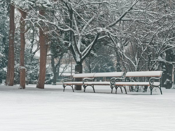 Quali sono i segnali di allerta per le malattie cardiovascolari nelle donne?